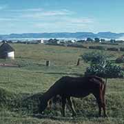 Xhosa farms