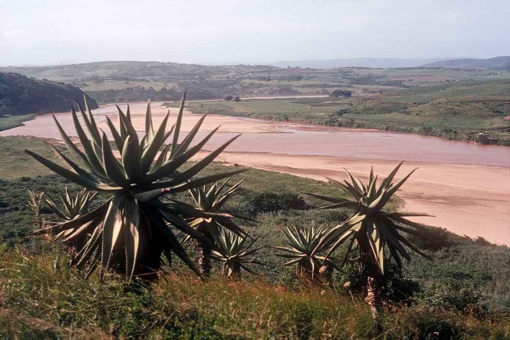 Tugela River from Fort Pearson