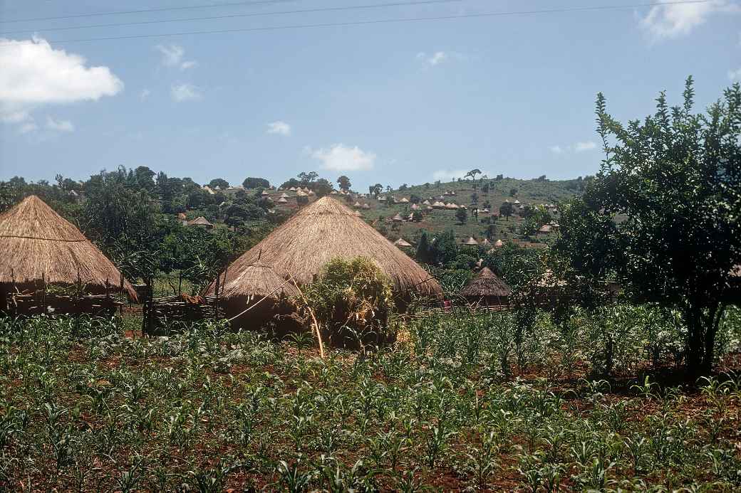 Village of Tshakuma