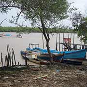Fishing boats, Nieuw Nickerie