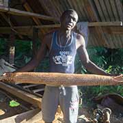 Showing manioc strainer, Gunsi