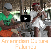 Traditional Amerindian culture