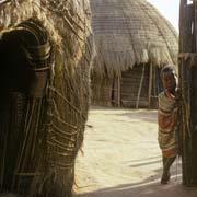 Traditional huts