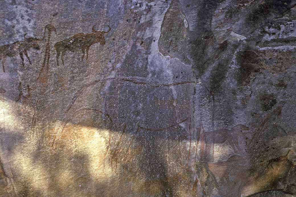 Bushmen paintings