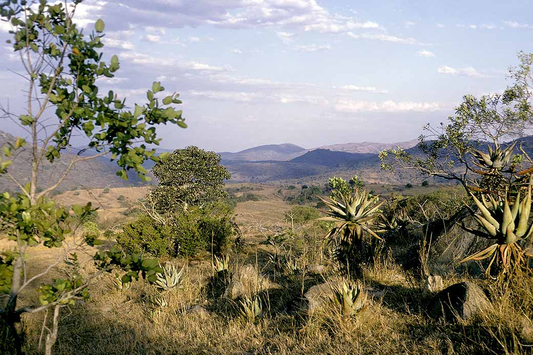 Near Nginamadvolo