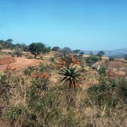 View near Ndingeni