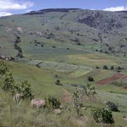 Farms near Nkaba