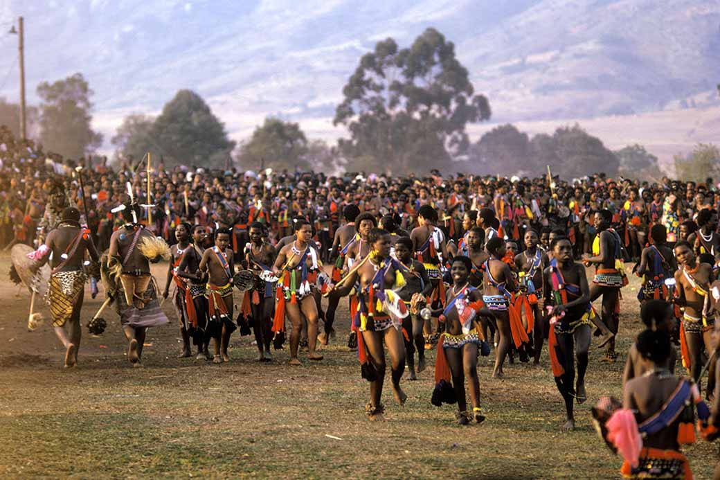 The Reed Dance