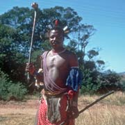 Swazi warrior