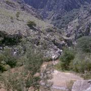 Mahamba Gorge