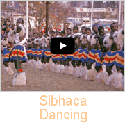 Sibhaca Dancing