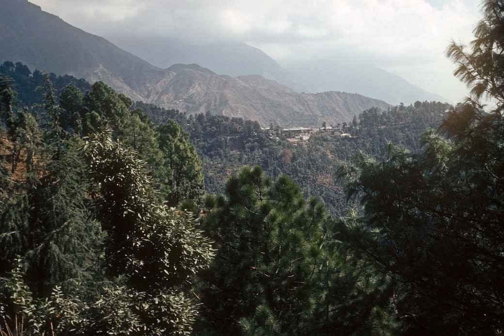 View, McLeod Ganj