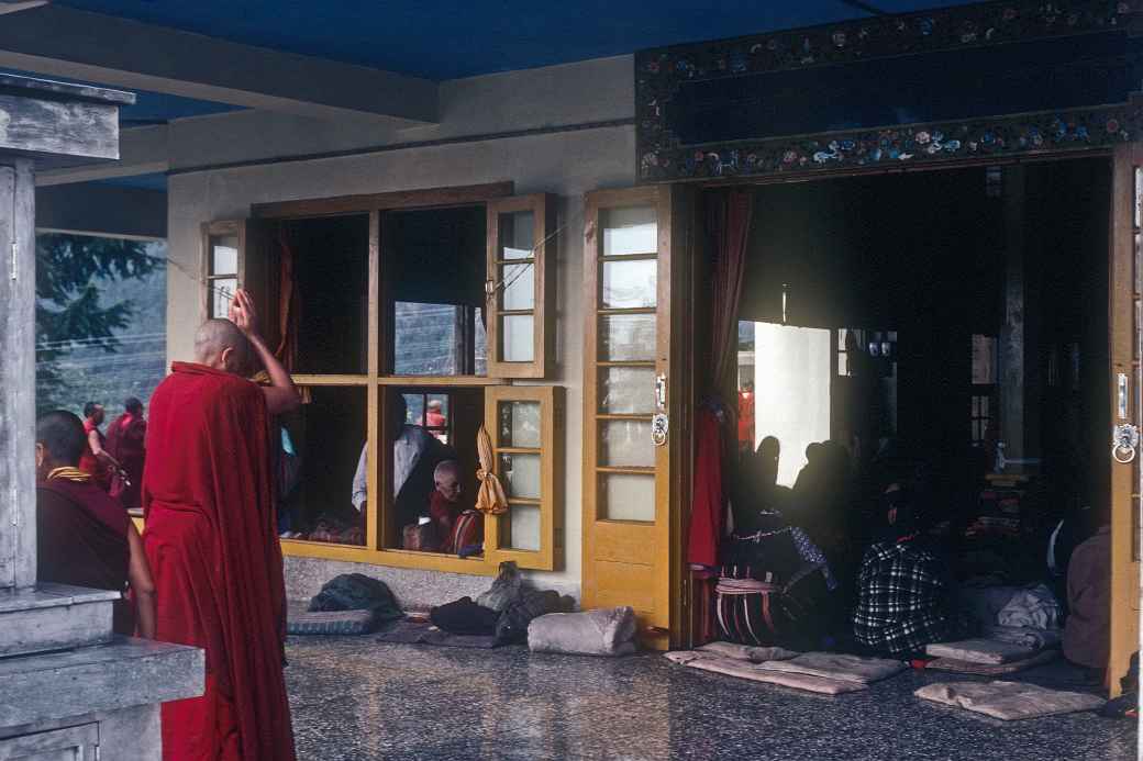 Buddhist nun praying