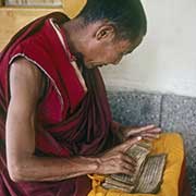 Monk reading texts