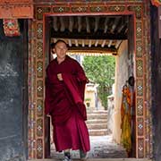 A monk, Sera Monastery