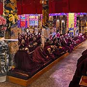 At a monks' examination, Sera Monastery