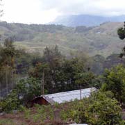 View in Ainaro