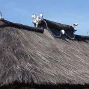 Traditional roof decoration