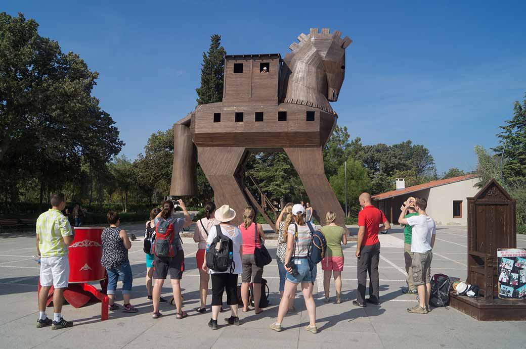 Trojan Horse model