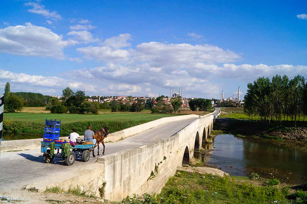 The Bayezid Bridge