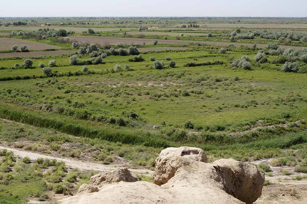 View to Turkmenistan