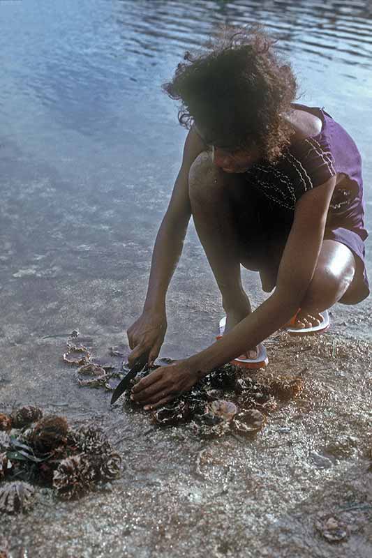 Cleaning sea urchins