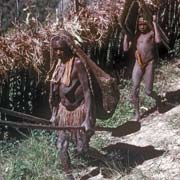 Ekari people, Wotai