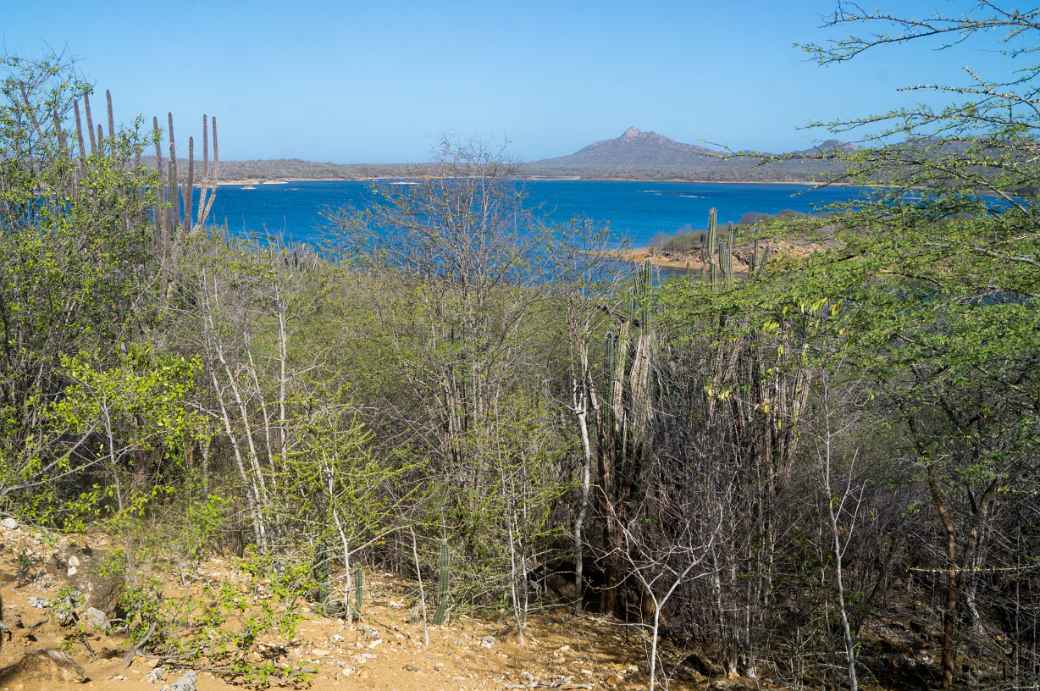 Goto Meer, Bonaire