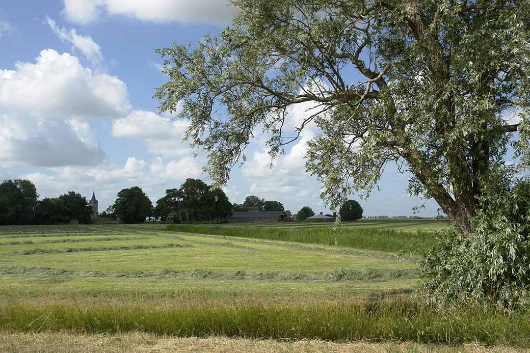 View to Oosterwierum