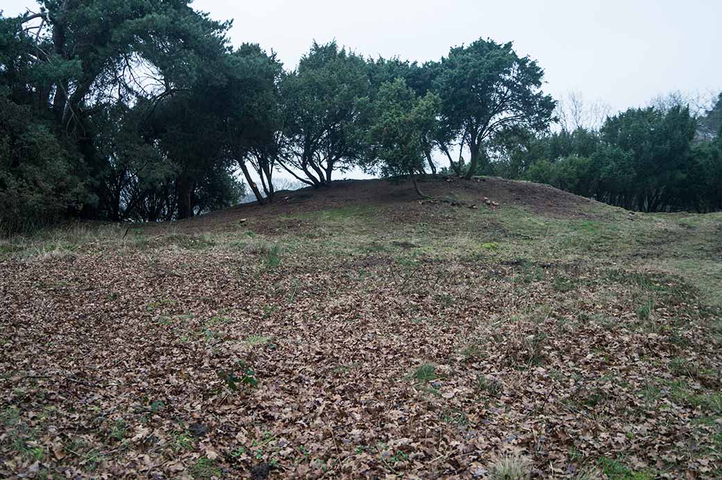 Mounds at Kampsheide