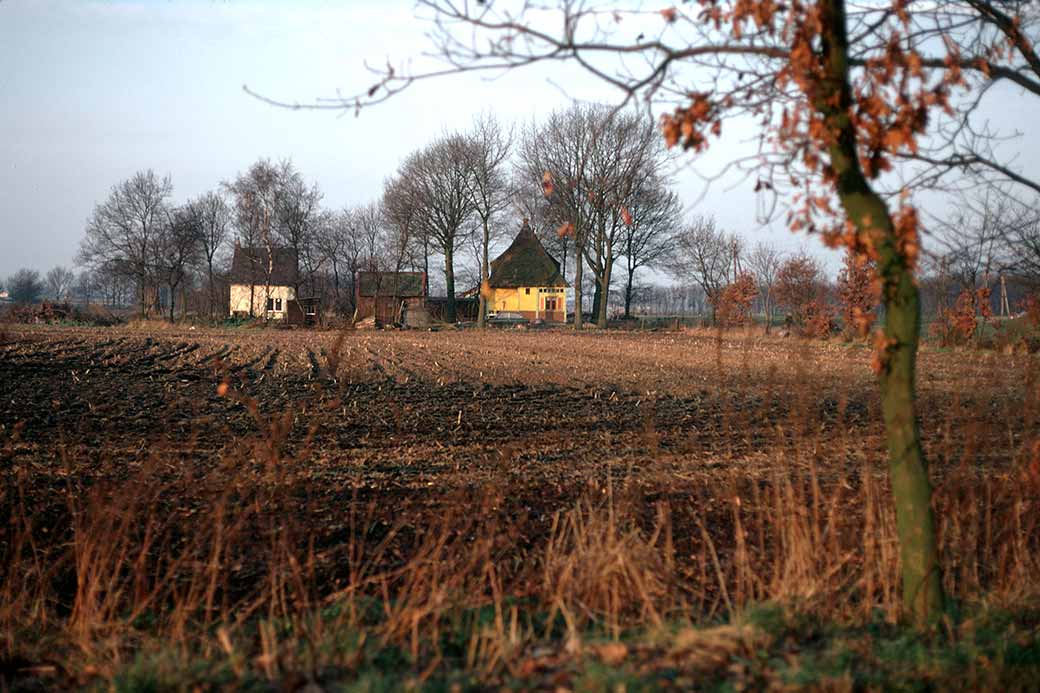 Farm, near Lunteren