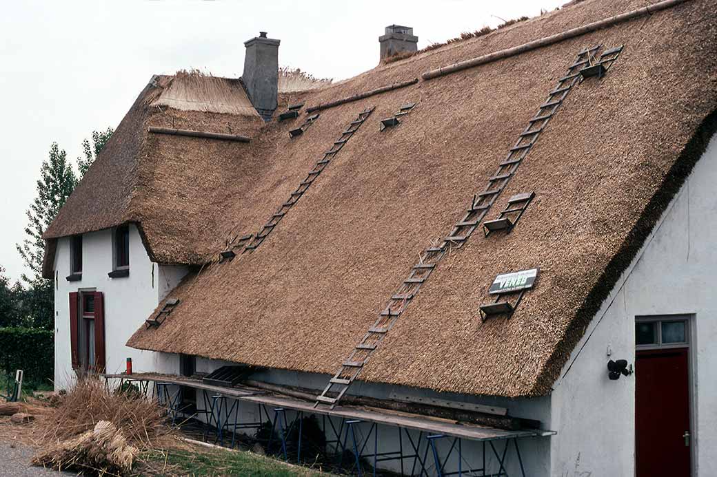New roofing thatch