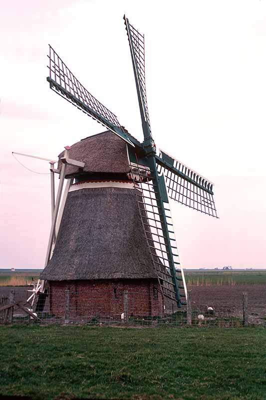 Windmill, Ternaard