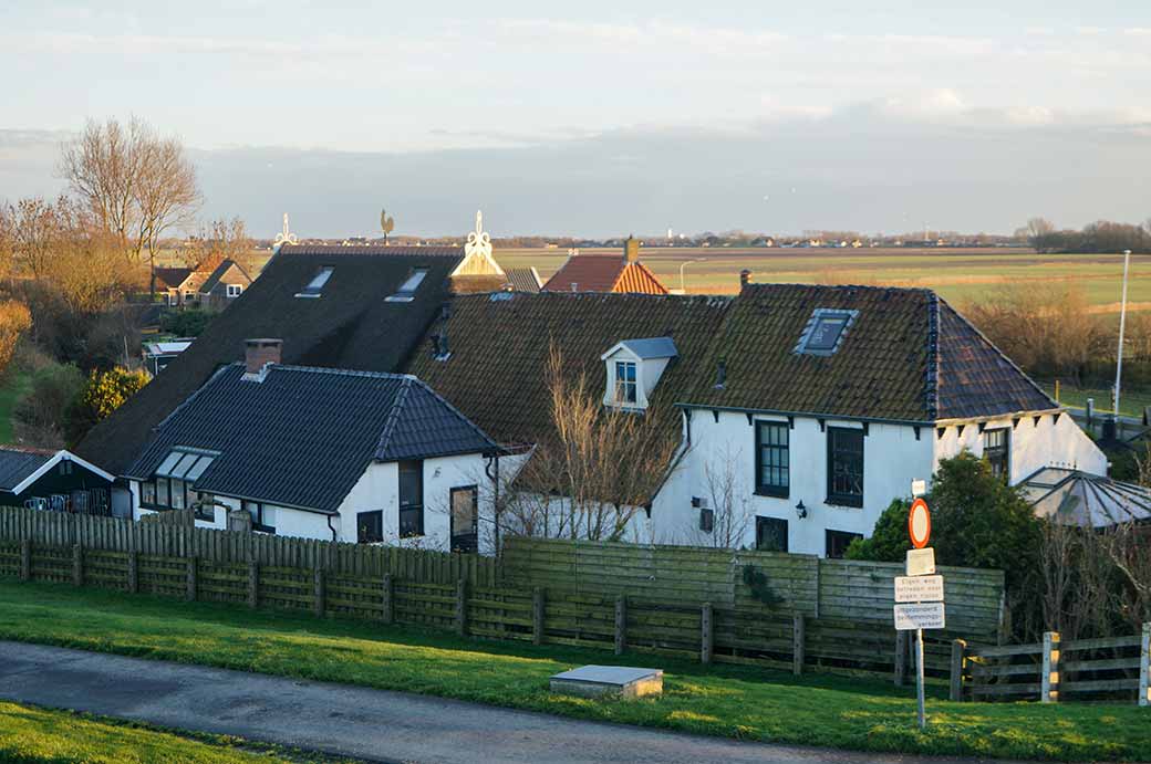 Zwarte Haan