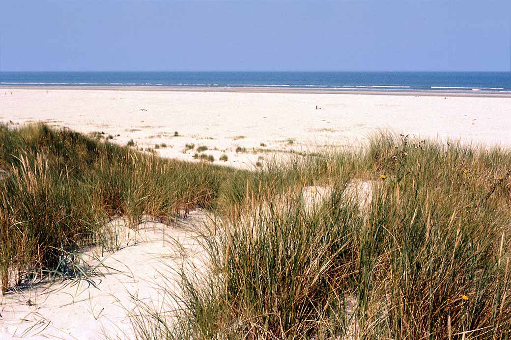 Boschplaat beach
