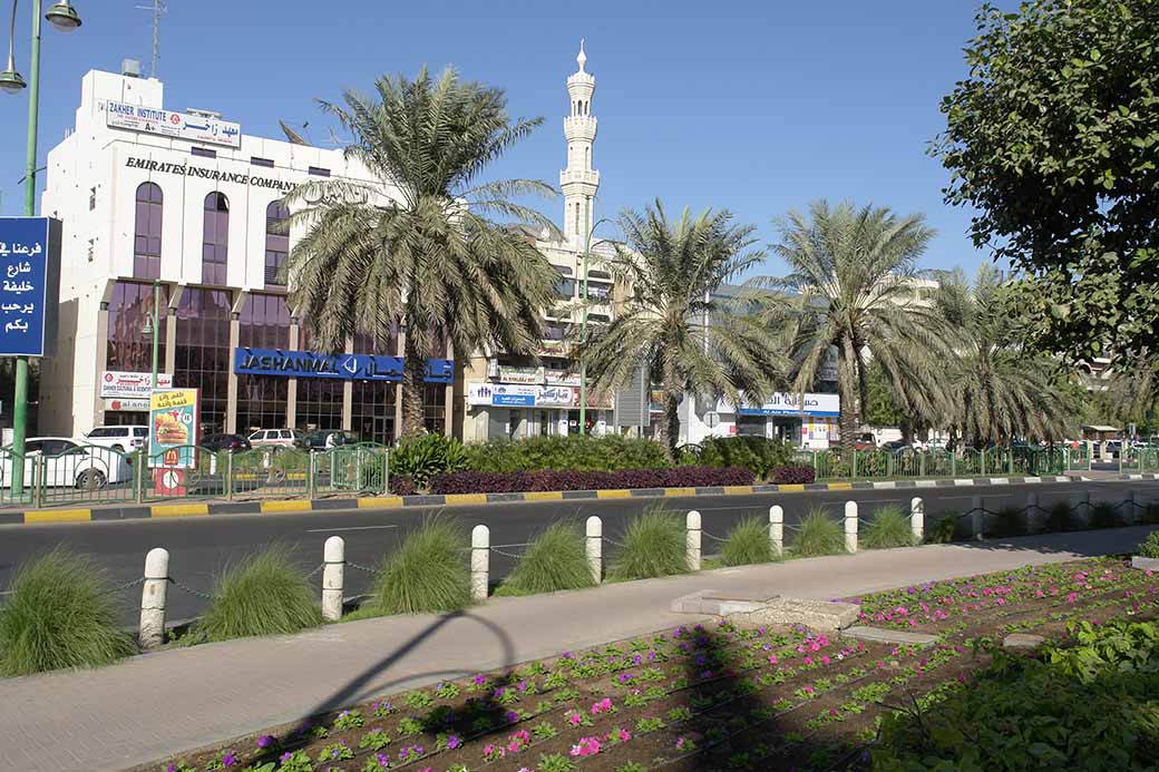 Khalifa bin Zayed Street