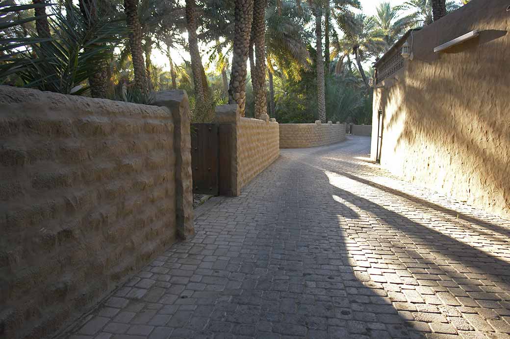 Alley in Al Ain Oasis