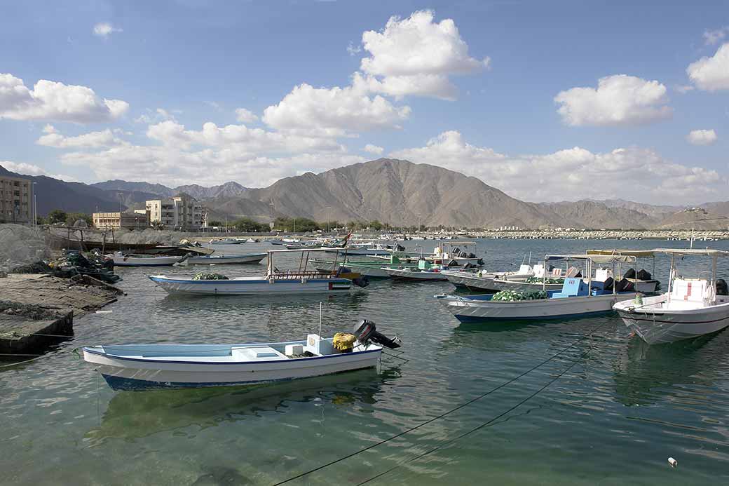 Fishing harbour, Khor Fakkan