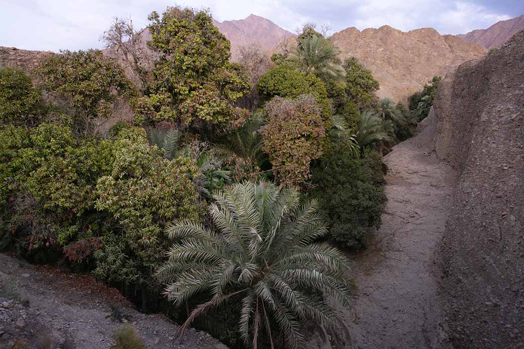 Wadi along the road