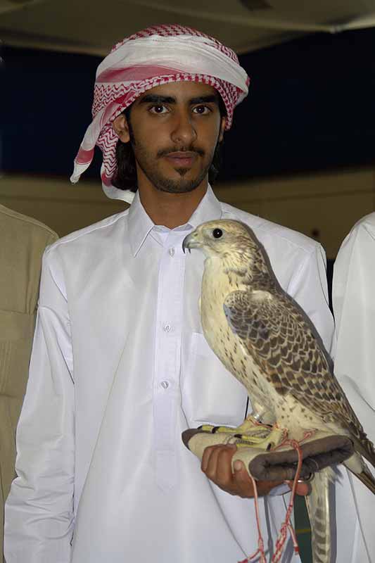 Displaying his falcon