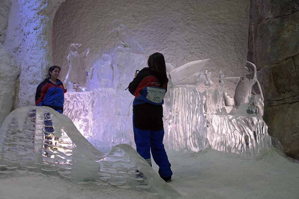 In the Ice Cave